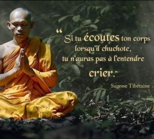 MEILLEURS VOEUX 2023